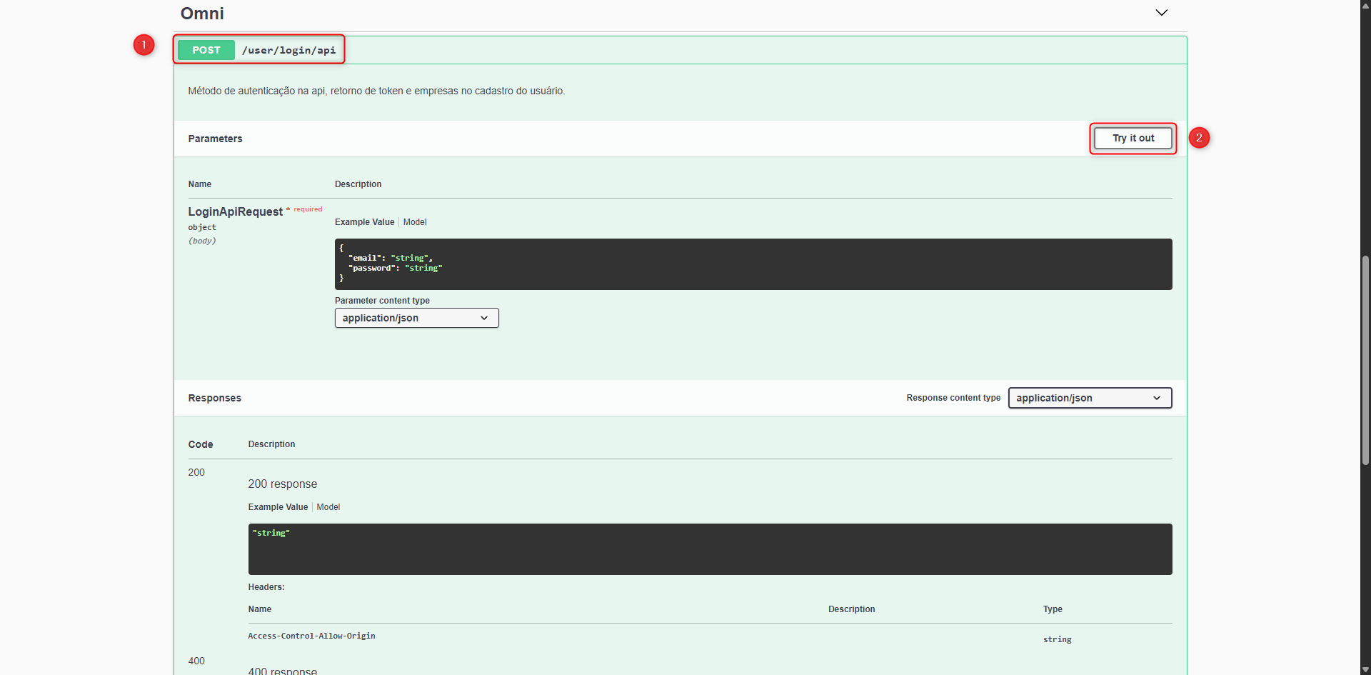 Acessando a rota de login